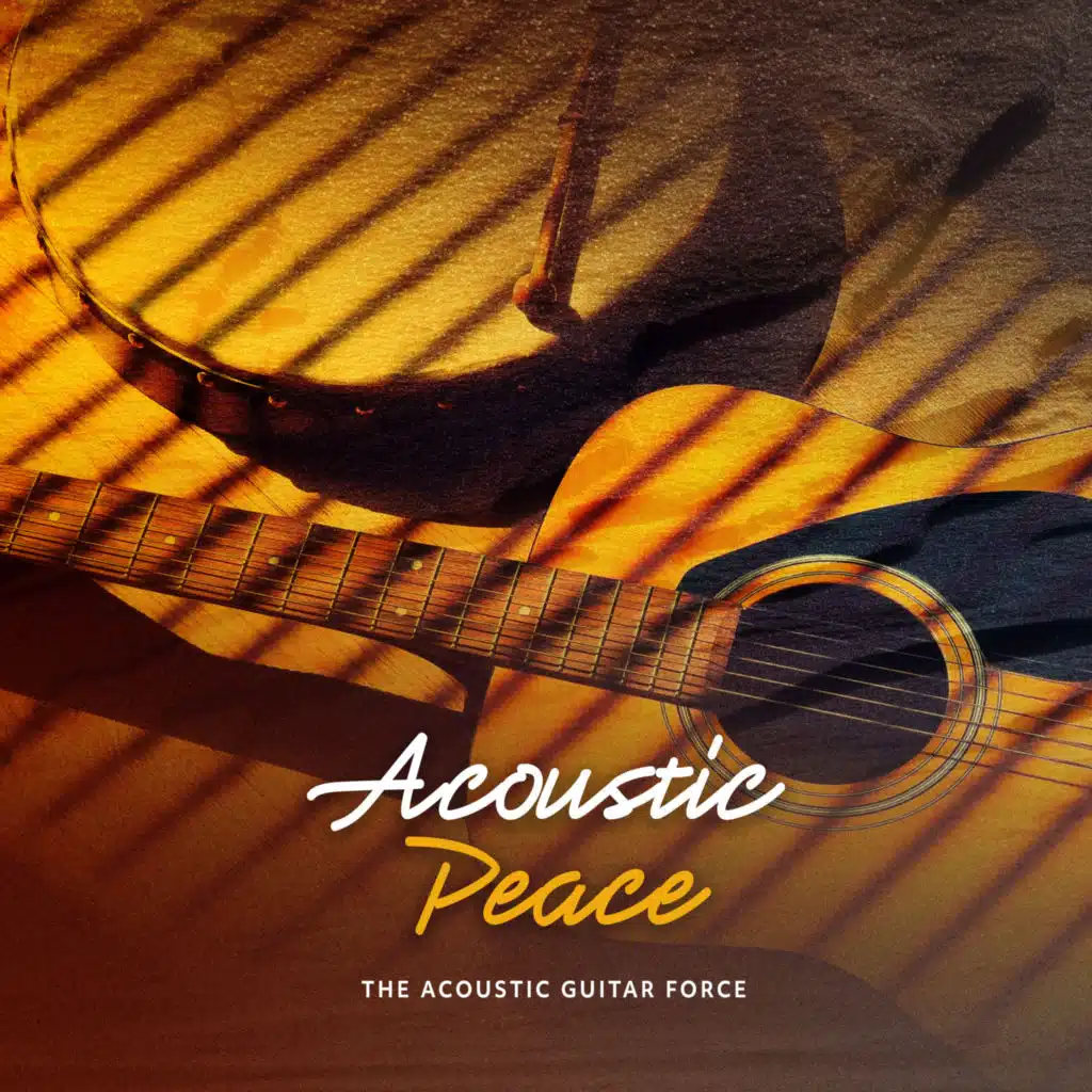 The Acoustic Guitar Force