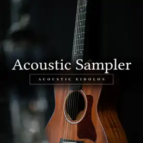Acoustic Eidolon