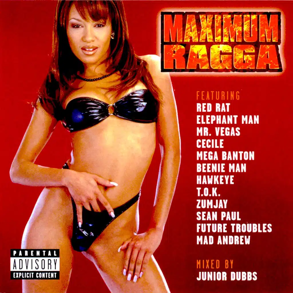 Maximum Ragga, Vol. 1