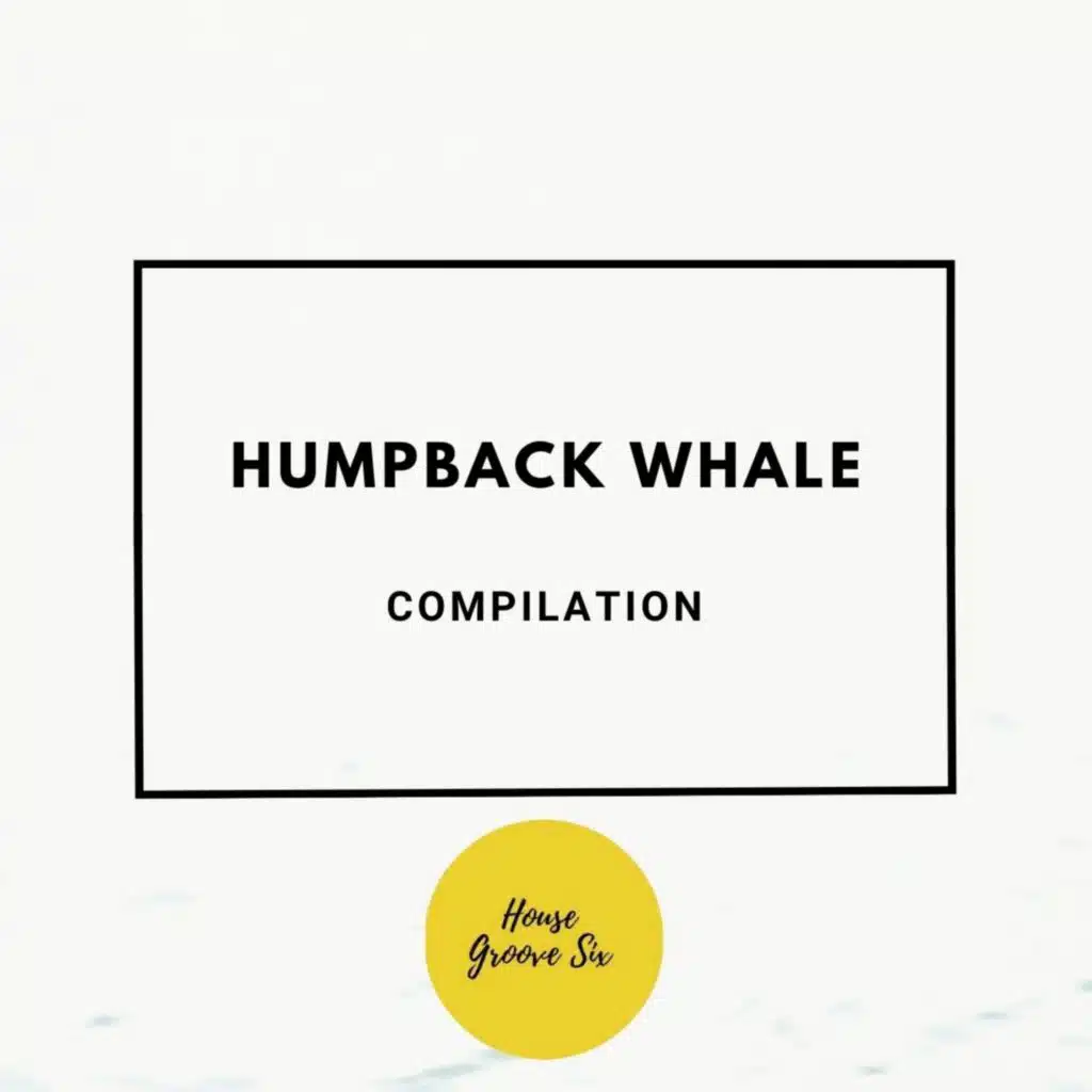 Humpback Whale