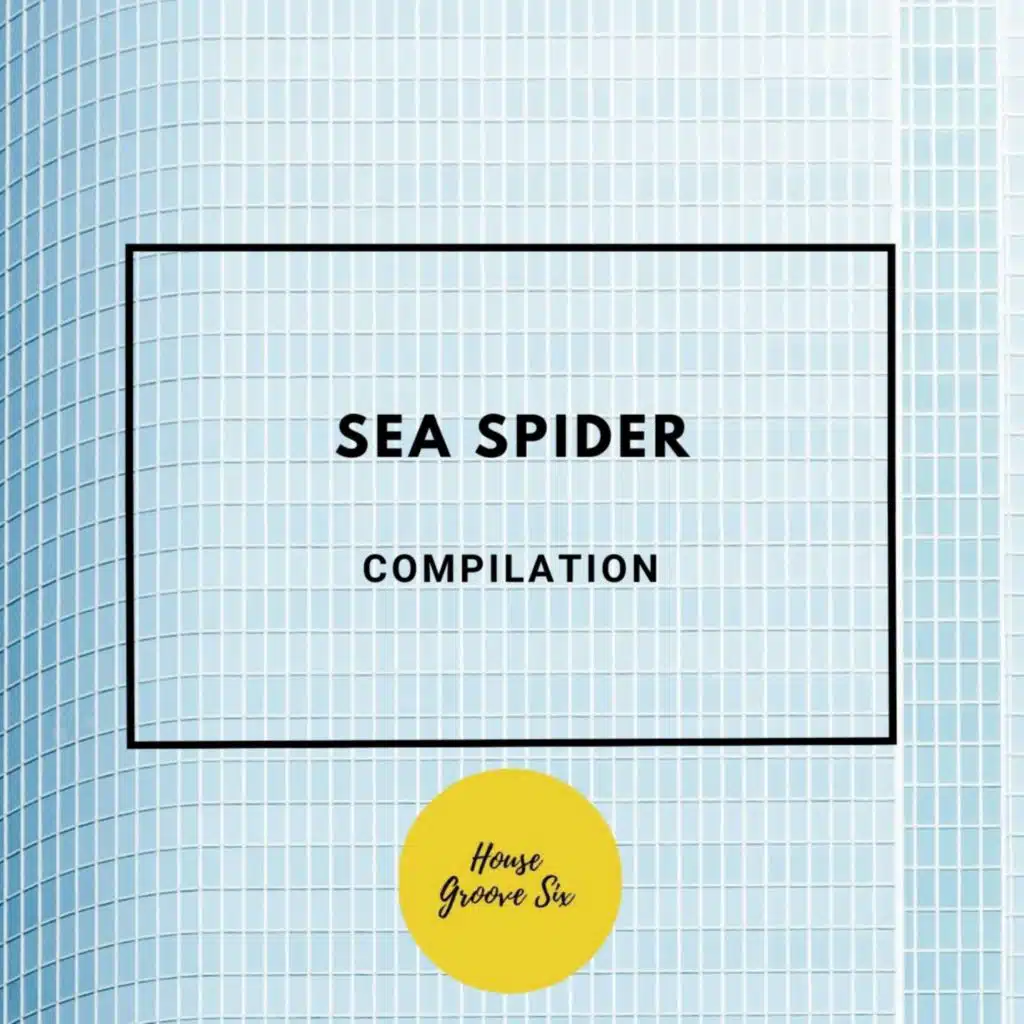 Sea Spider