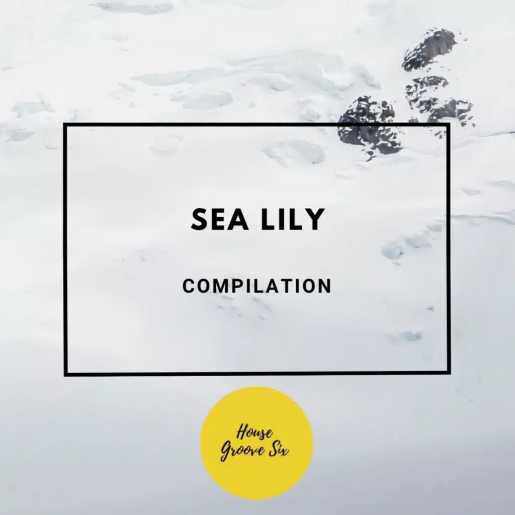 Sea Lily