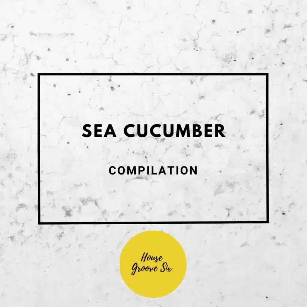 Sea Cucumber