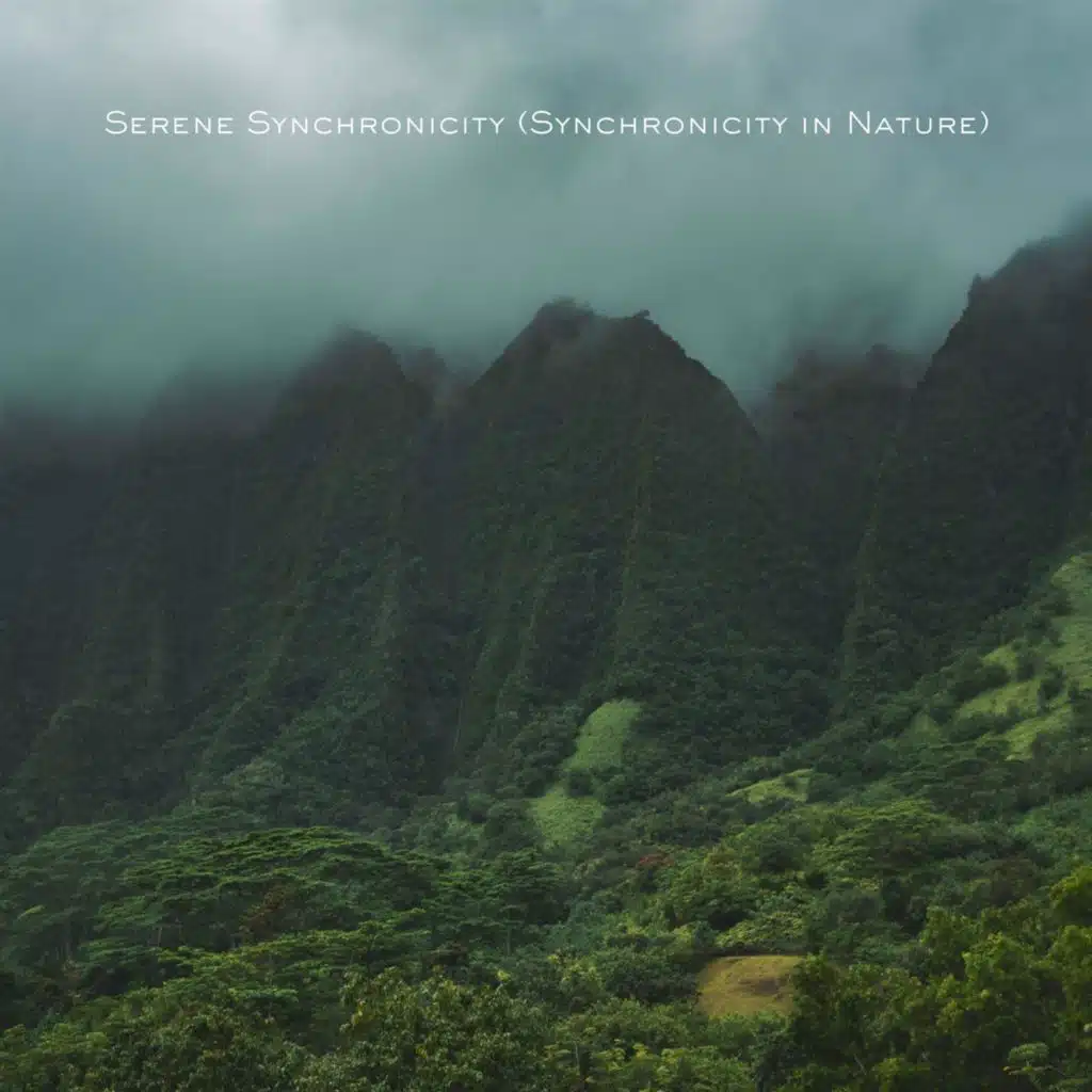 Serene Synchronicity (Synchronicity in Nature)