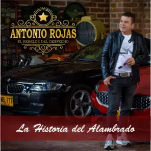 Antonio Rojas "El Rebelde Del Despecho"
