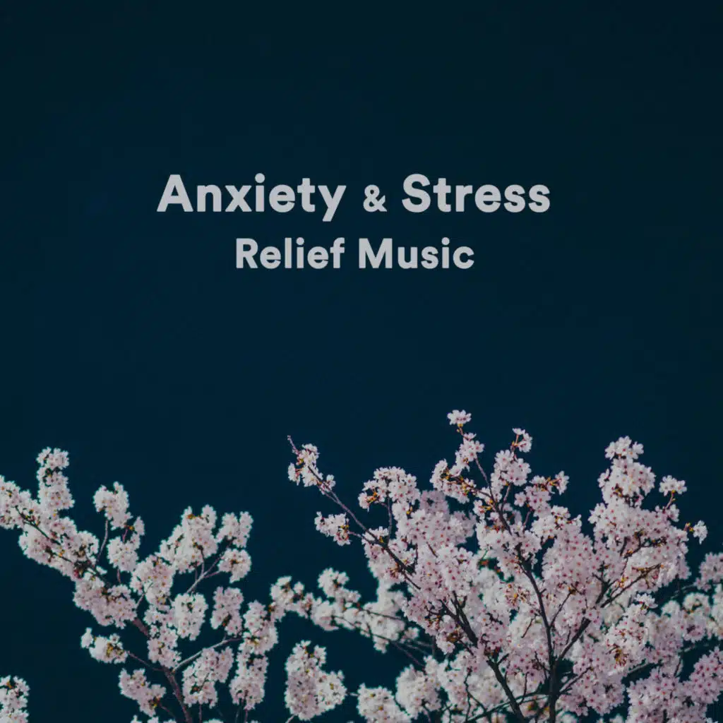 Anxiety Relief, Pt. 2