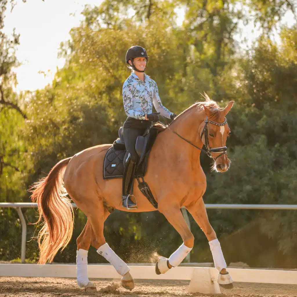 How To Talk To Horse People On The Internet