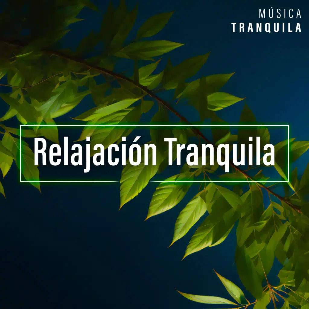 Musica Tranquila