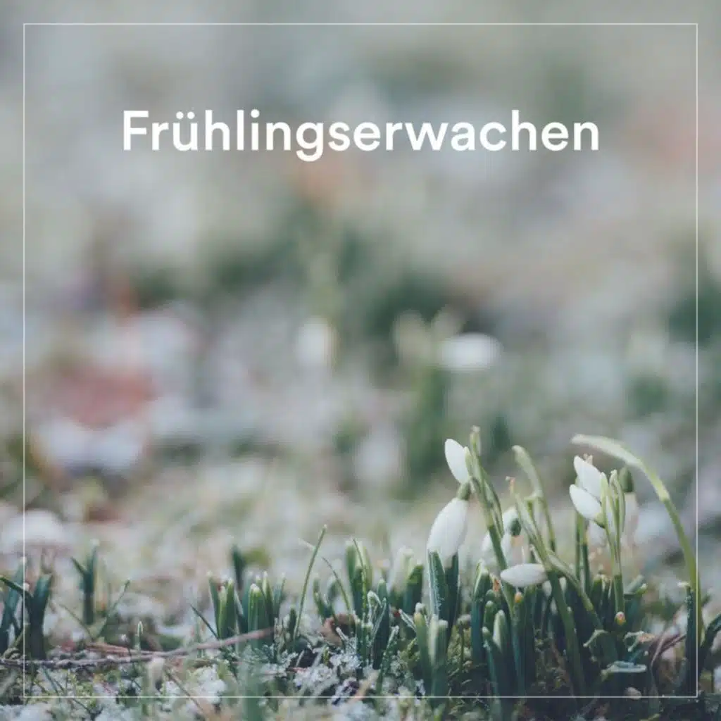 Frühlingserwachen