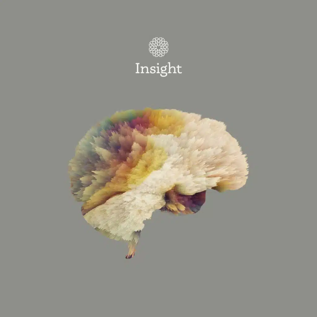 Episode 3.7 | Insight