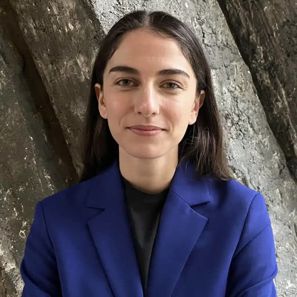 Romina Pourmokhtari (L): Finns inte ett magiskt verktyg som löser klimatkrisen
