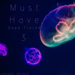 Must Have Deep Tracks, Vol.3
