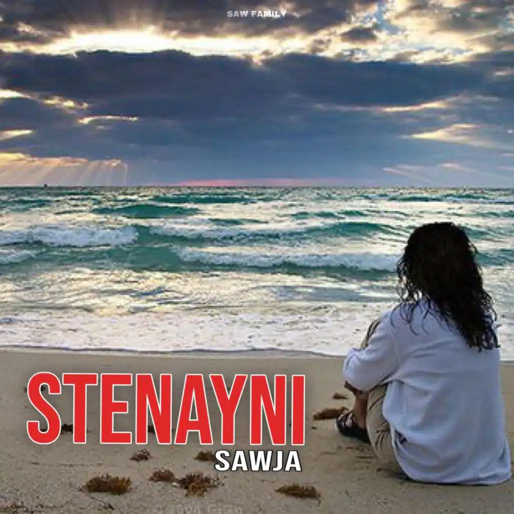 Stenayni