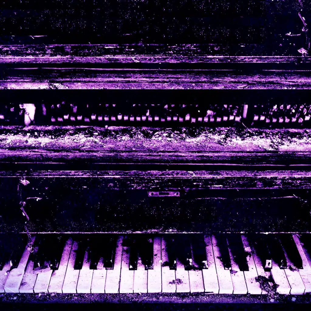 Variation seven (feat. Fabio D'Amato)