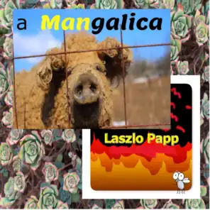 Laszlo Papp