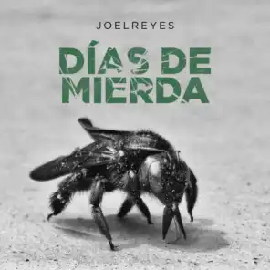 Joel Reyes