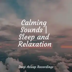 Calming Sounds | Sleep and Relaxation
