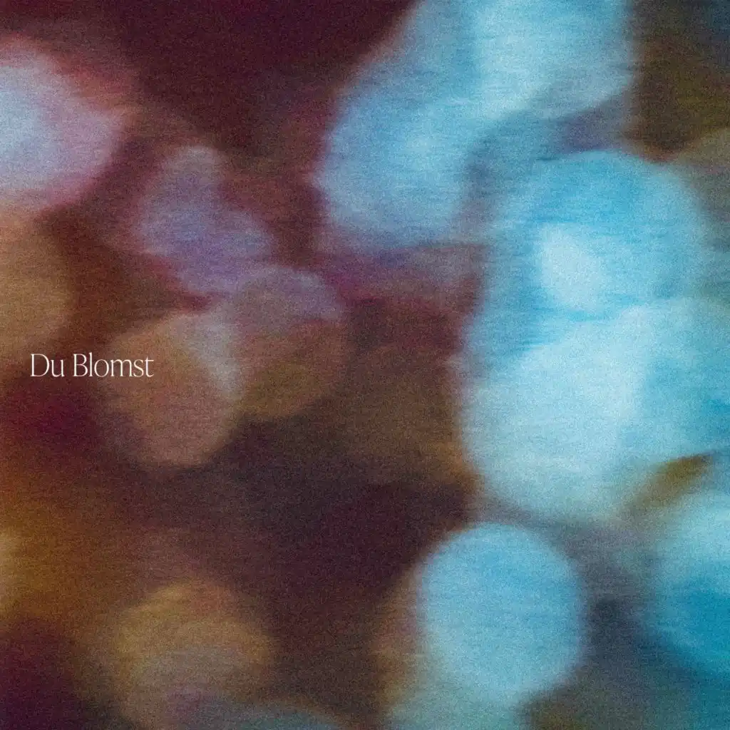 Du Blomst (feat. Mikkel Ploug)