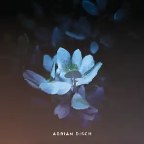 Adrian Disch