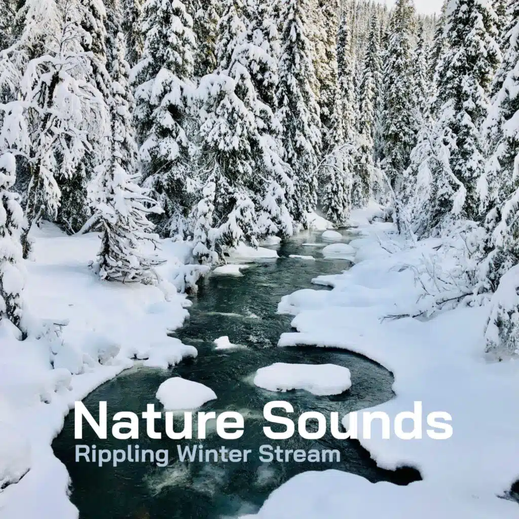 Rippling Winter Stream