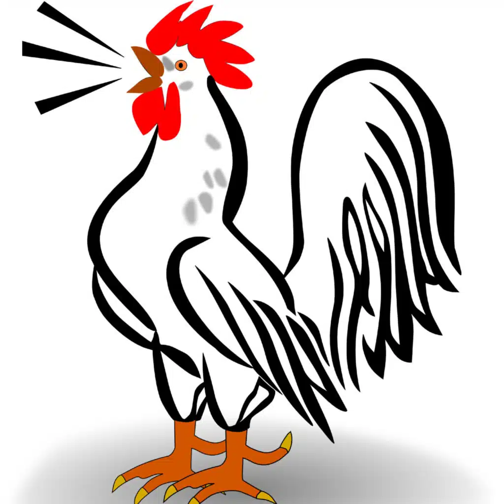 Rooster Sounds, The rooster is crowing, Звуки петуха & Петух кукарекает