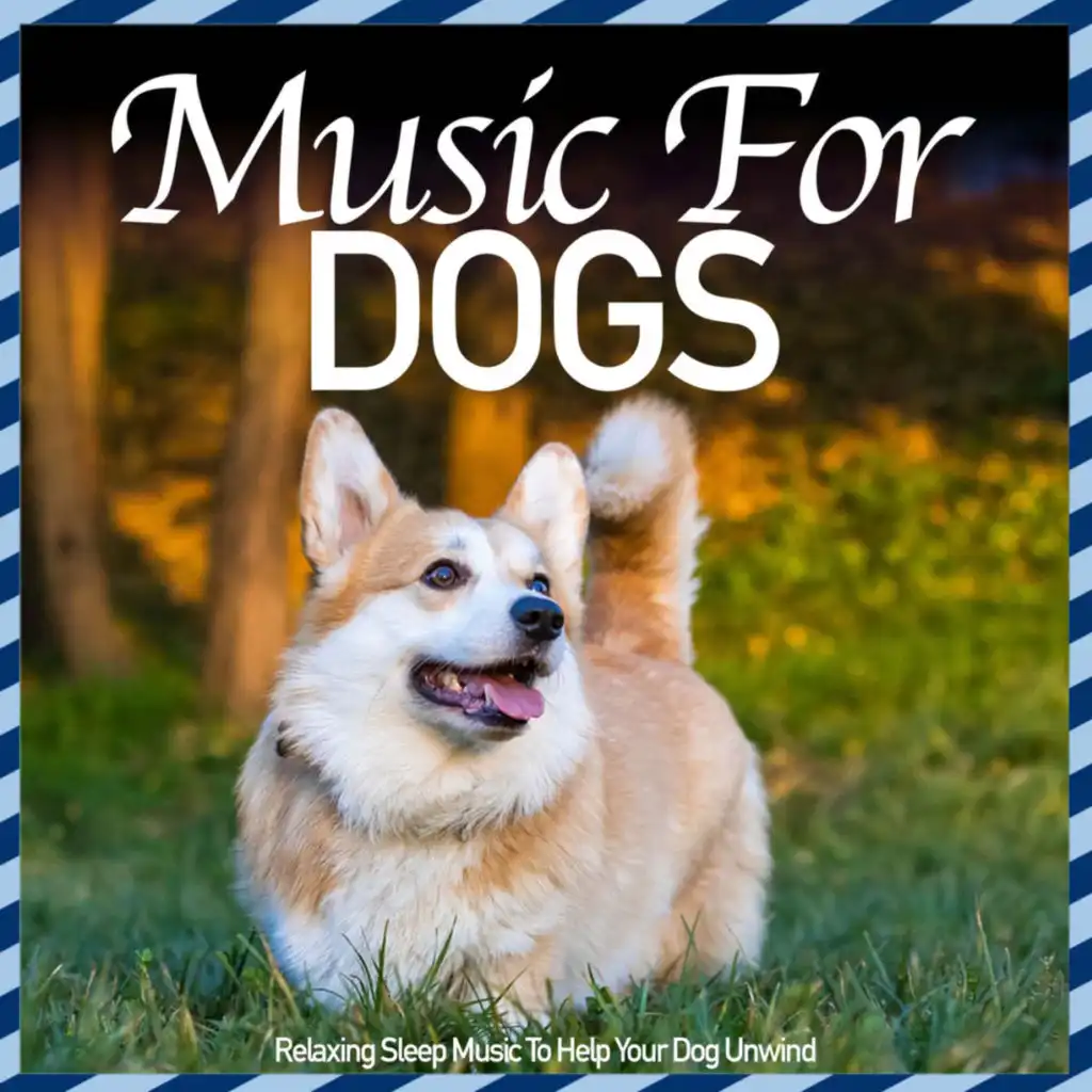 Dog Music - Relaxing Sleep Music to Help Your Dog Unwind