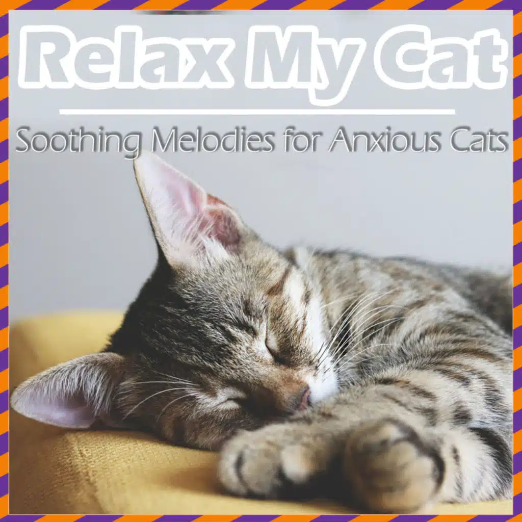 Relax My Cat - Soft Instrumentals for Anxious Cats