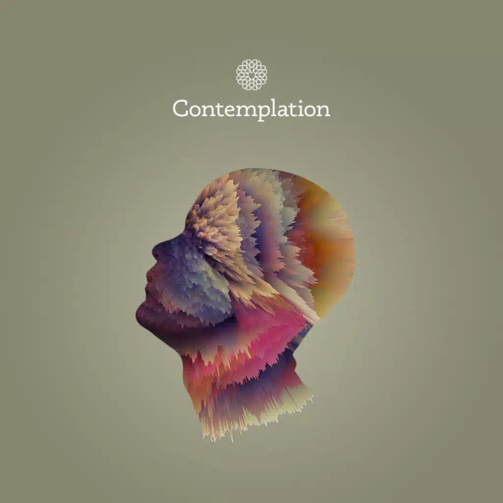 Episode 3.9 | Contemplation