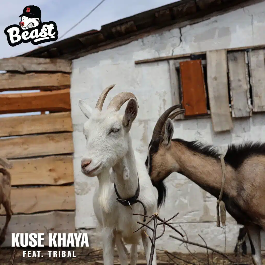Kuse Khaya (feat. Tribal)