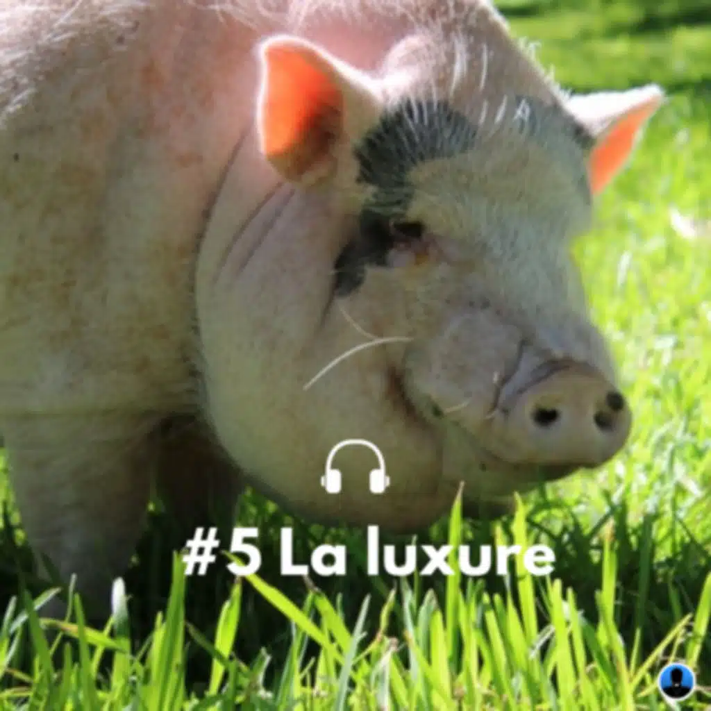 Les péchés capitaux : la luxure - P. Sabatié-Garat (S3E02)