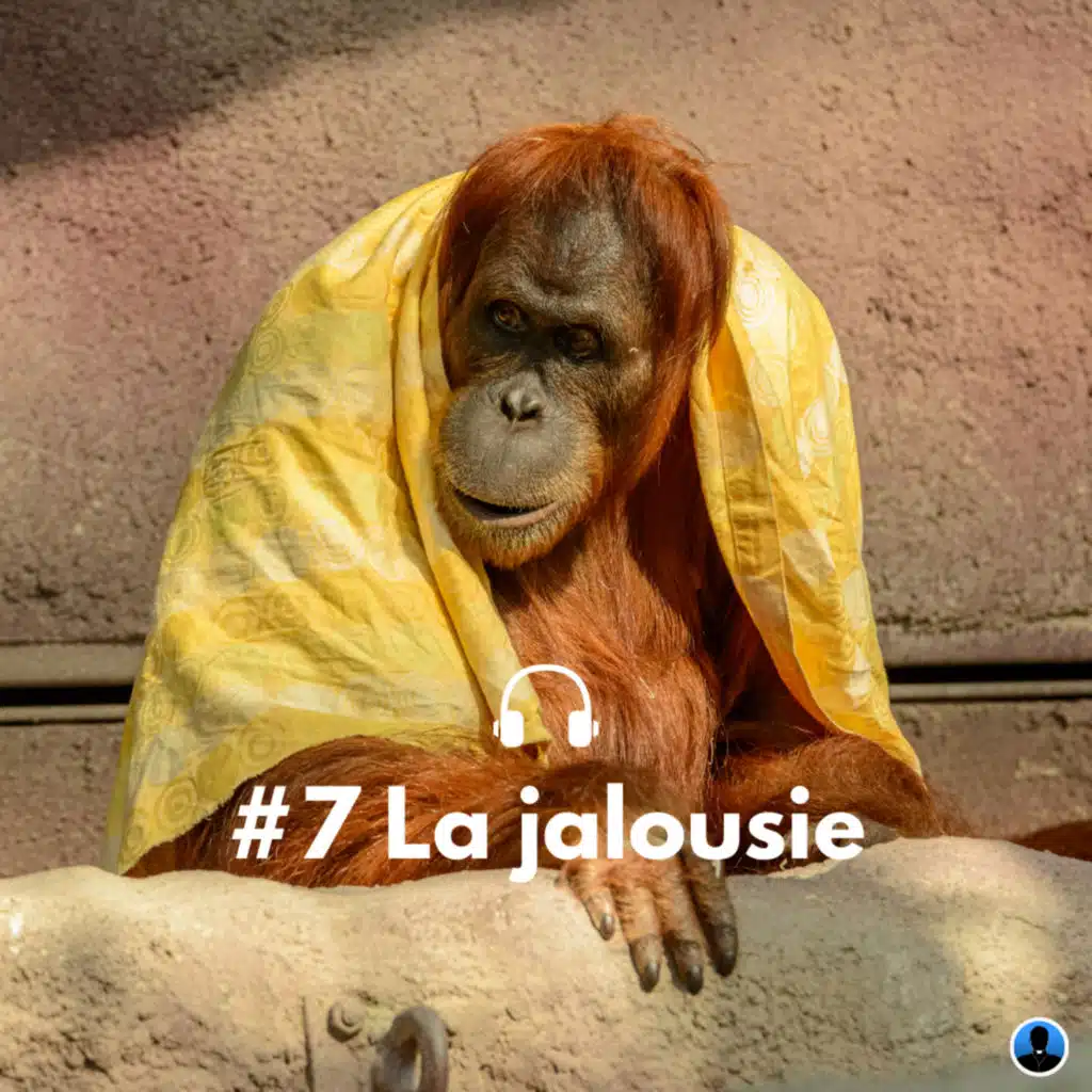 Les péchés capitaux : La jalousie - P. Siboulet (S3E04)