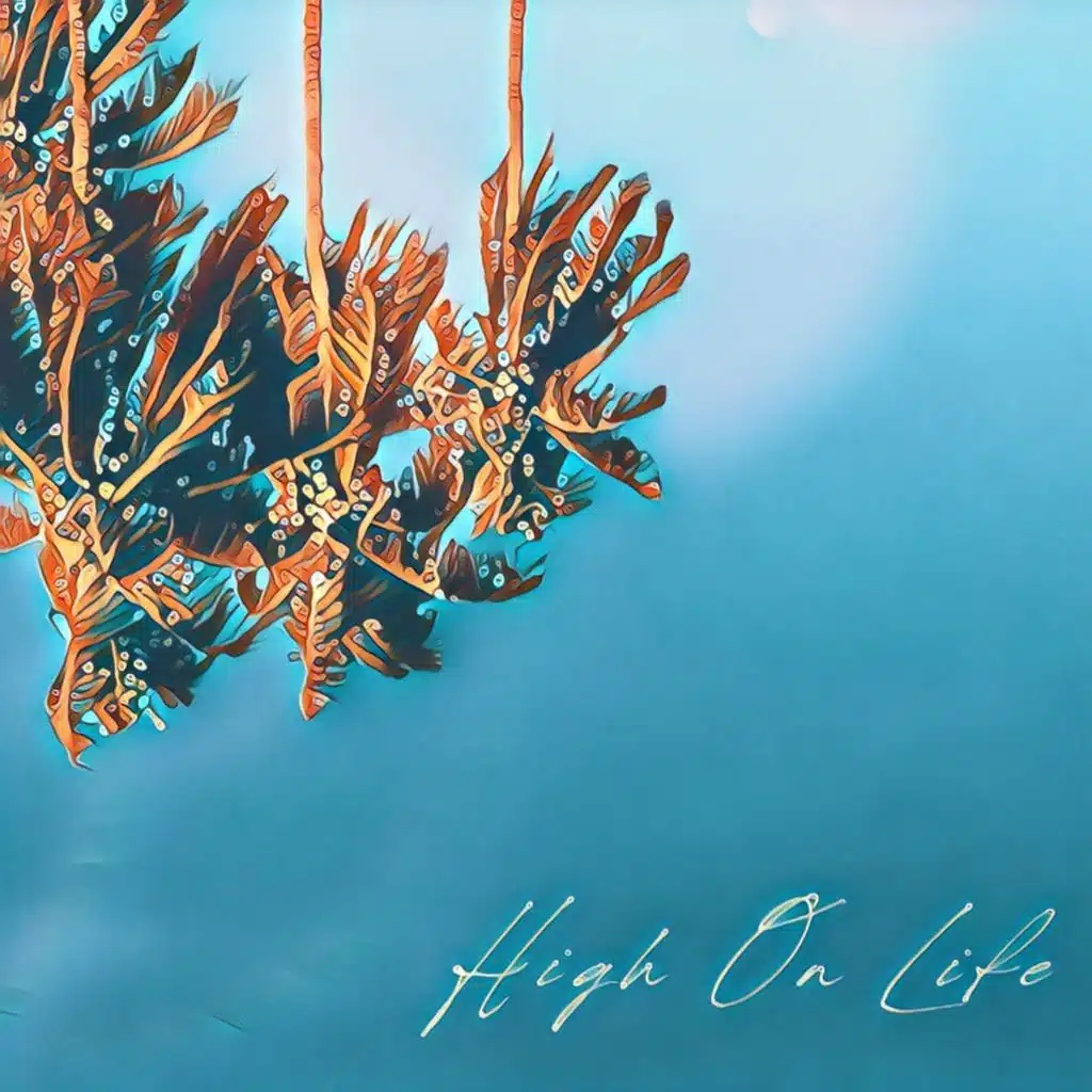High on Life
