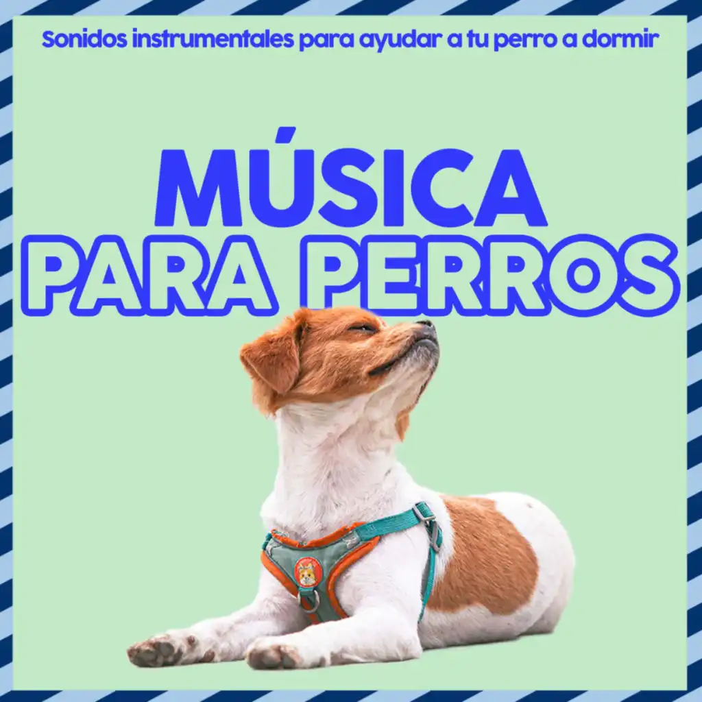 Relaxmydog, Dog Music Dreams & Dog Music Therapy