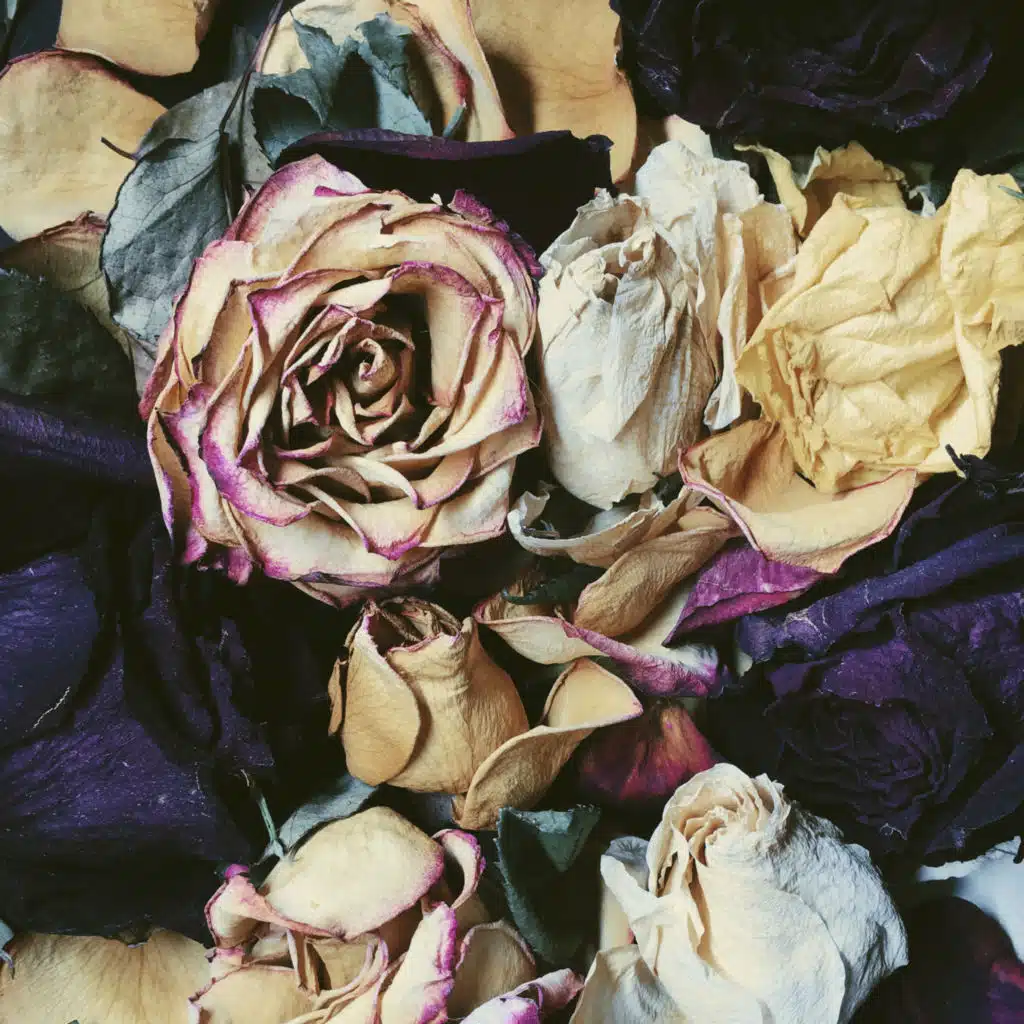 Зимавсегда