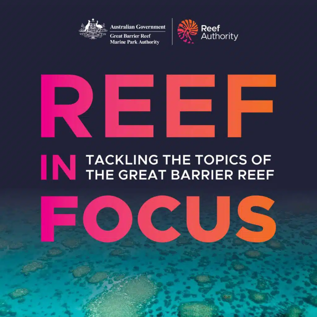 Reef in Focus