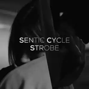 Sentic Cycle