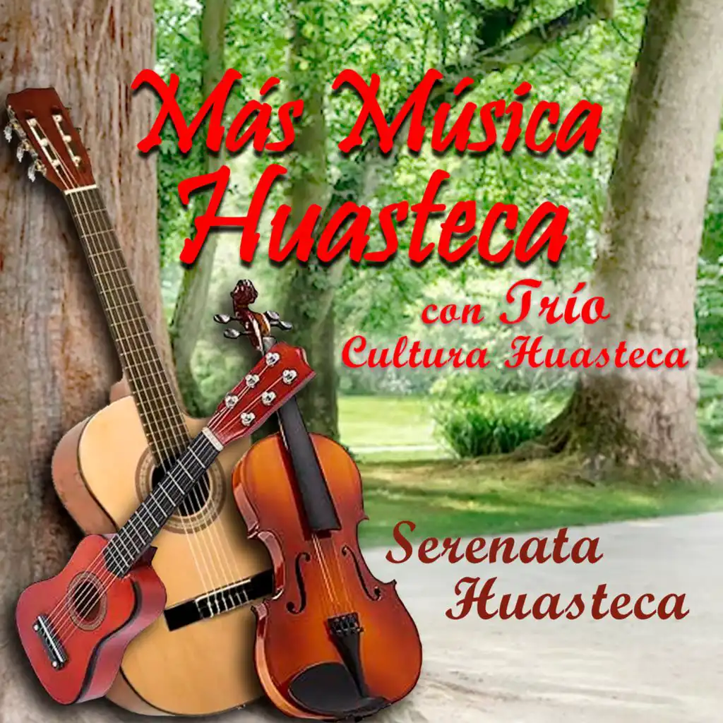 Trio Cultura Huasteca