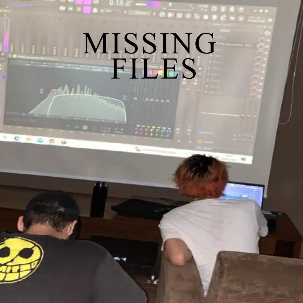 Missing Files