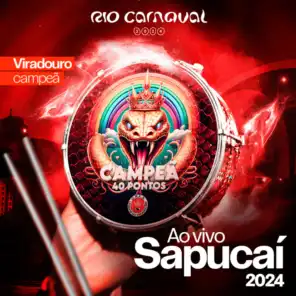 Rio Carnaval, Acadêmicos do Salgueiro & Emerson Dias