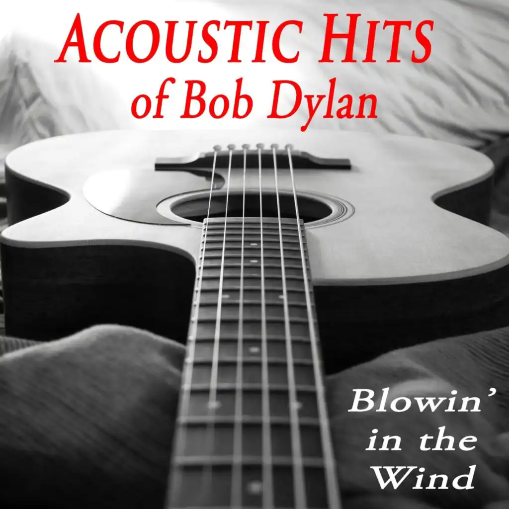 Blowin' in the Wind (Instrumental Version)