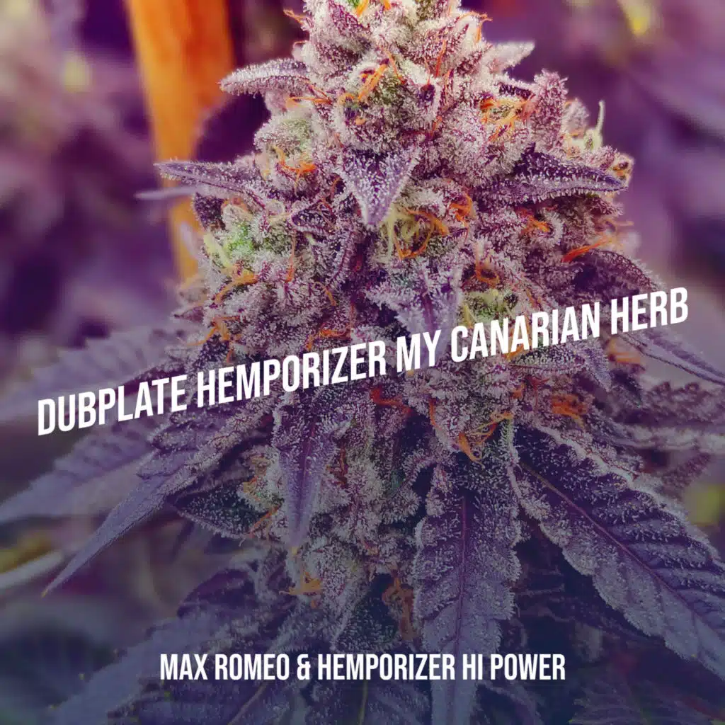 Dubplate Hemporizer My Canarian Herb
