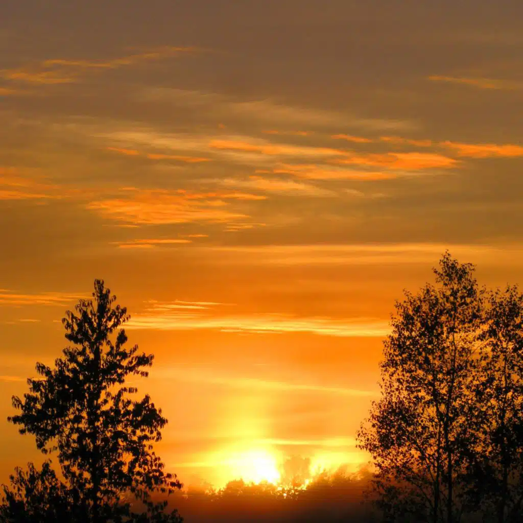 آيات محكمات ۩