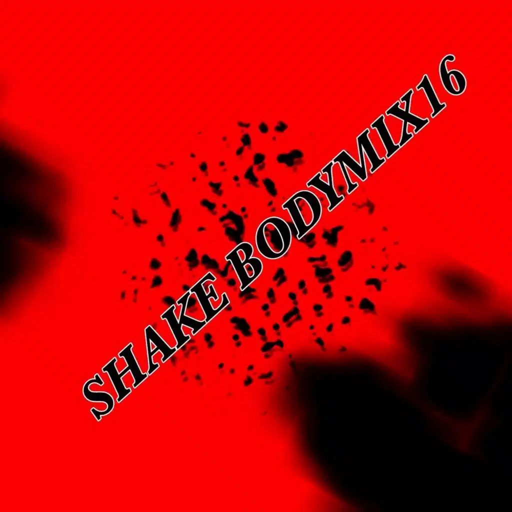 SHAKE BODYMIX16
