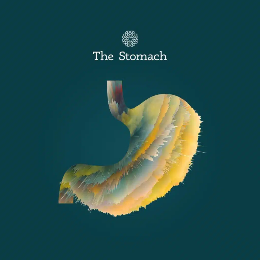 Episode 3.13 | The Stomach