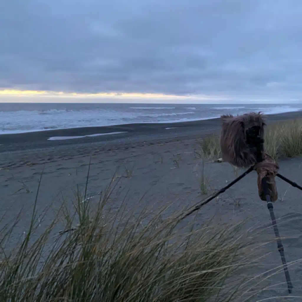 160: Gold Bluffs Beach- All Night On The High Tide Line
