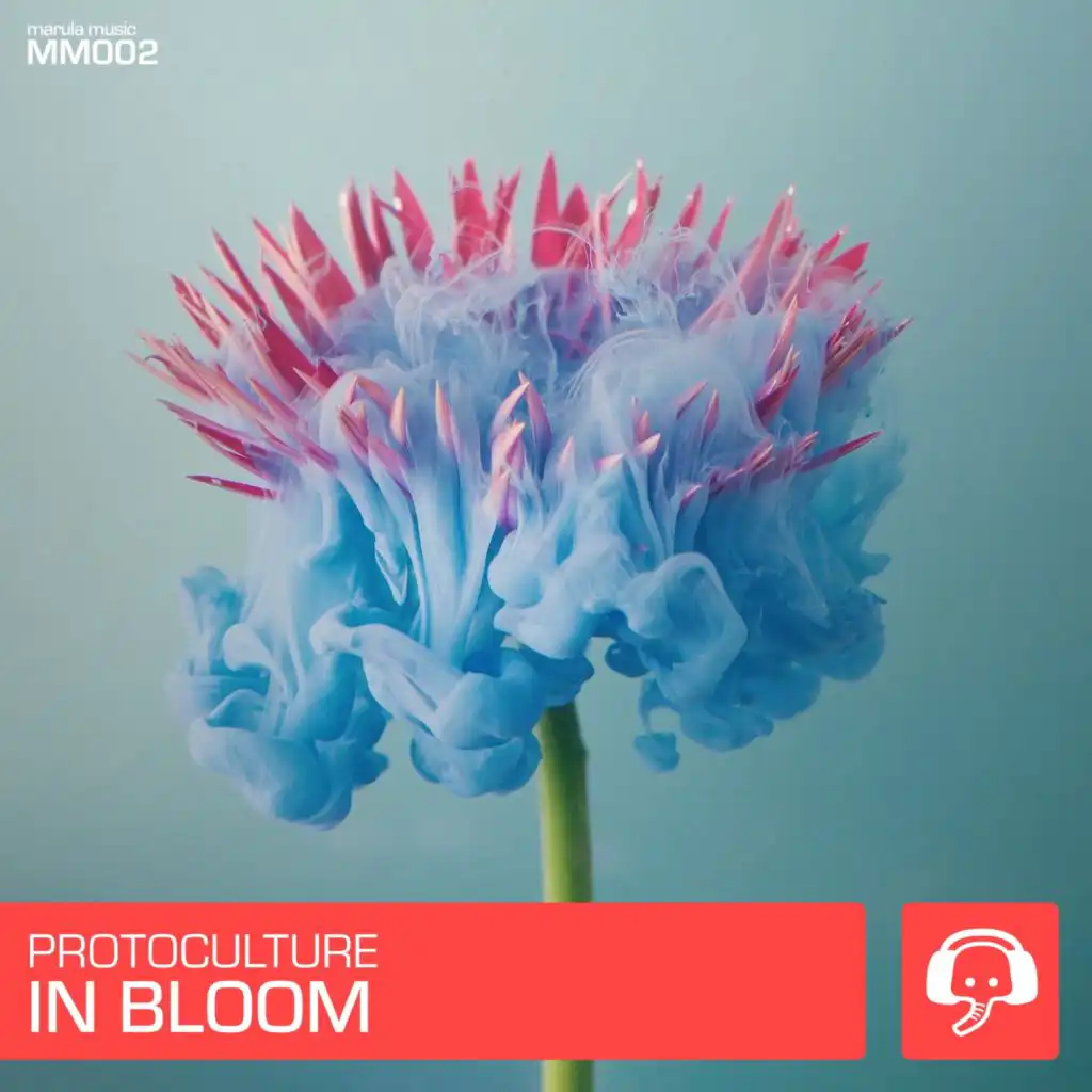 In Bloom (Extended Mix)