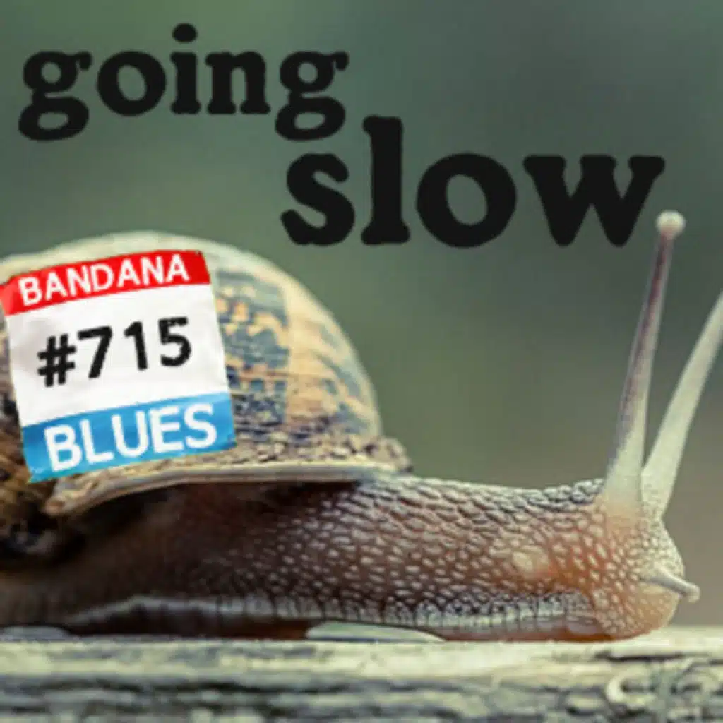 Bandana Blues #715 - Going Slow