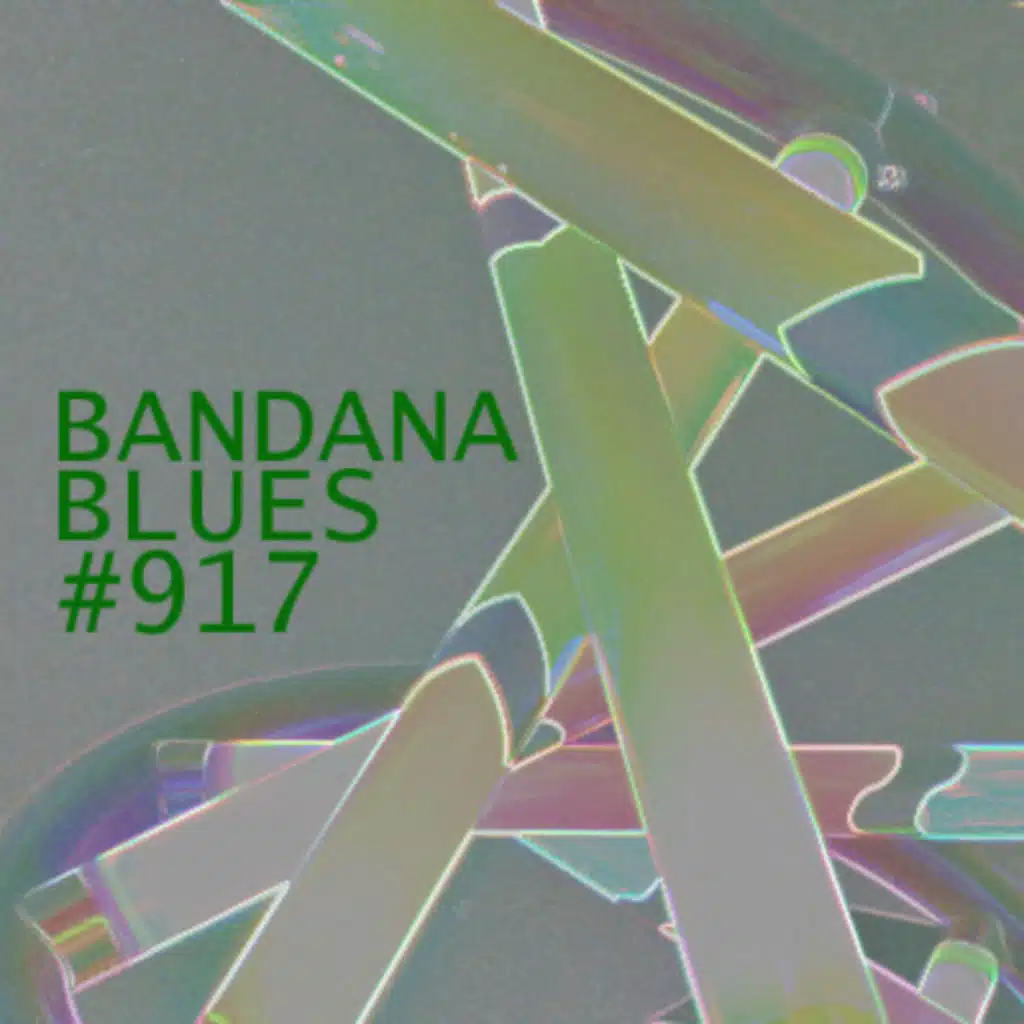 Bandana Blues #917 - Regular Eclectic