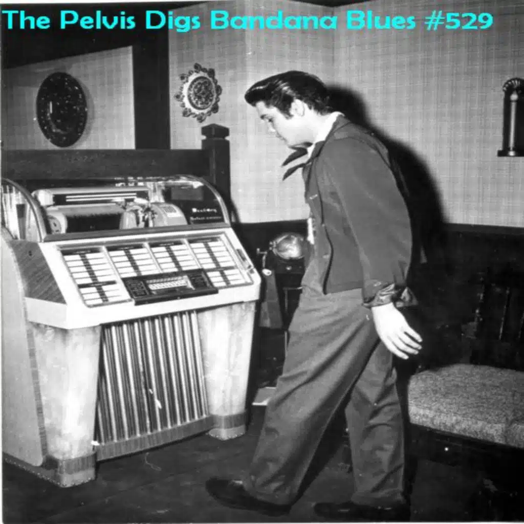 Bandana Blues #529 Another Fine Show!!!