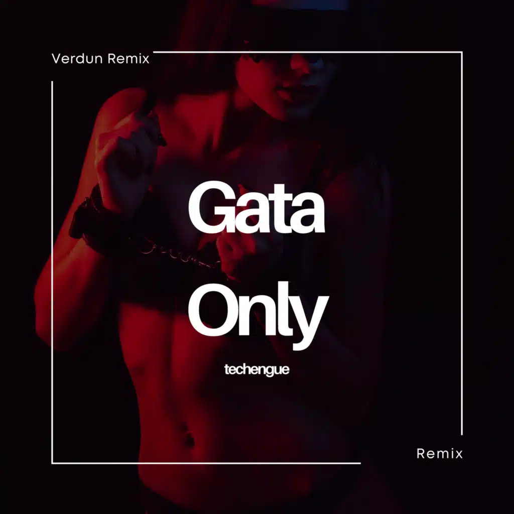 Gata Only (Techengue) (Remix)